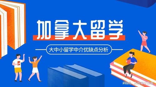 加拿大留學(xué)申請(qǐng) 大中小留學(xué)中介的差別與自費(fèi)出國抉擇